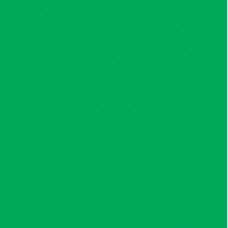 896650 - Green blank decal suit 444 series switch. (1pc)